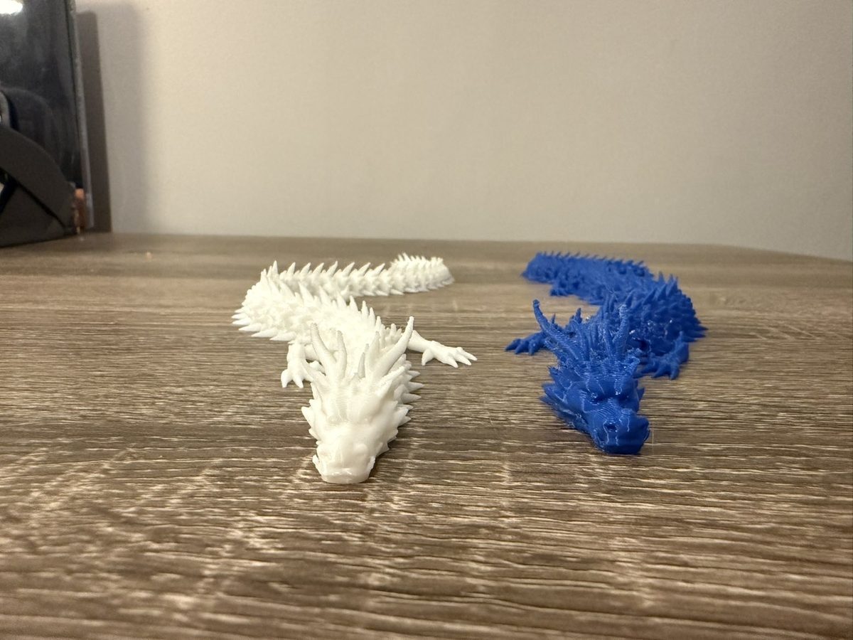 White and blue flexi dragons